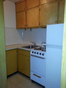 Rent 1038 s 16th